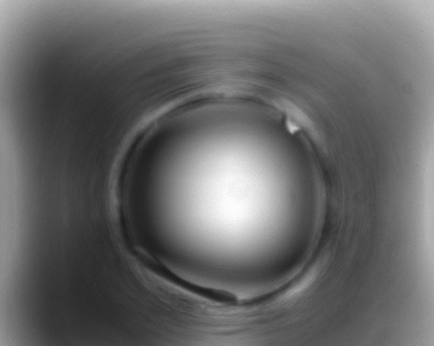 X0000088660981200706011236