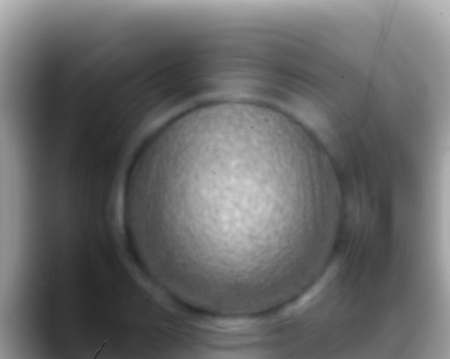 X0000088660982200706011236