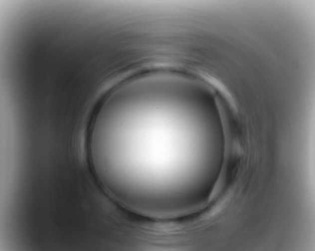 X0000088660983200706011236