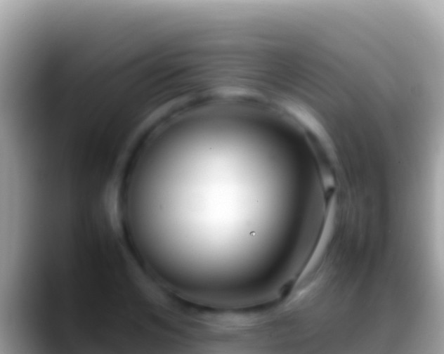 X0000088660984200706011236