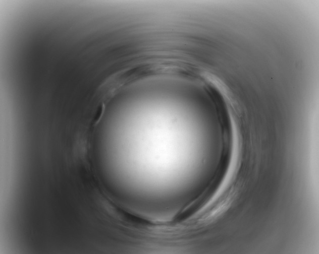 X0000088660985200706011236