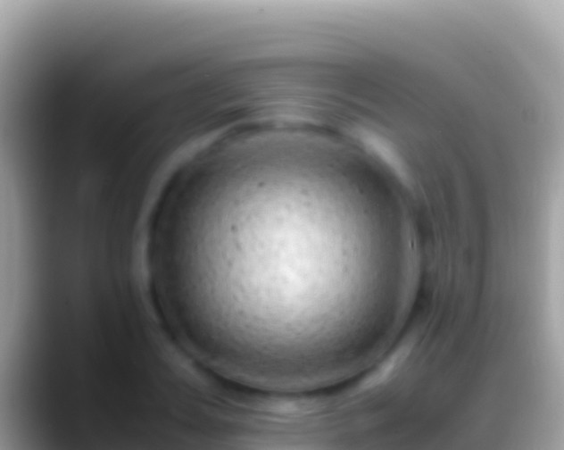 X0000088660987200706011236