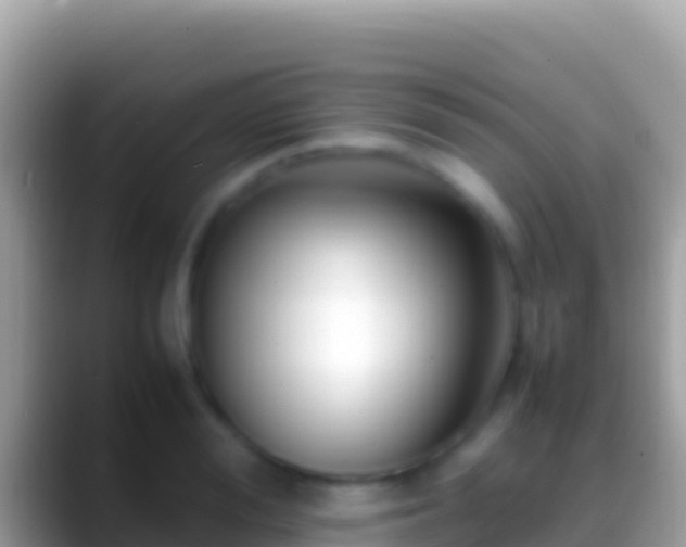 X0000088660988200706011236