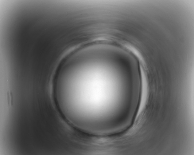 X0000088660991200706011236