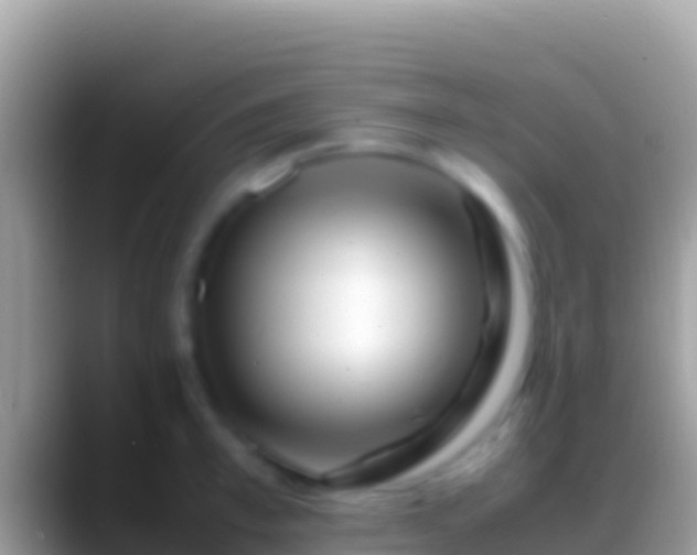 X0000088660997200706011236