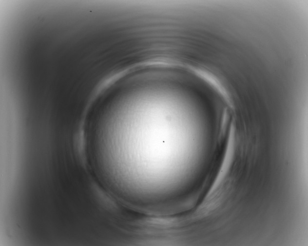 X0000088660998200706011236