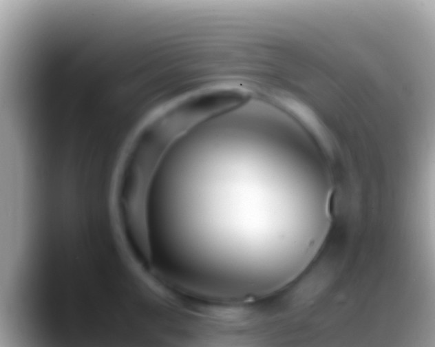 X0000088660999200706011236