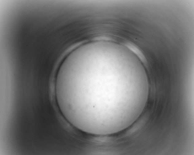 X0000088661000200706011236