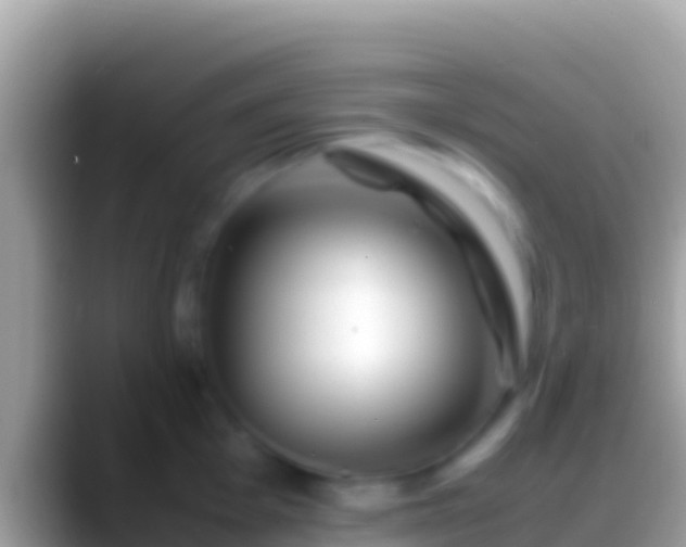 X0000088661001200706011236