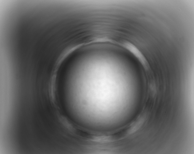 X0000088661002200706011236