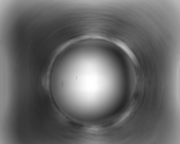 X0000088661004200706011236