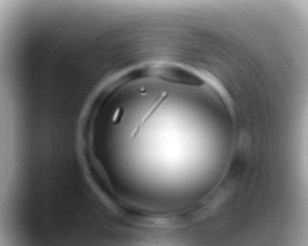 X0000088661005200706011236