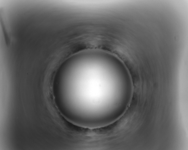 X0000088661009200706011236