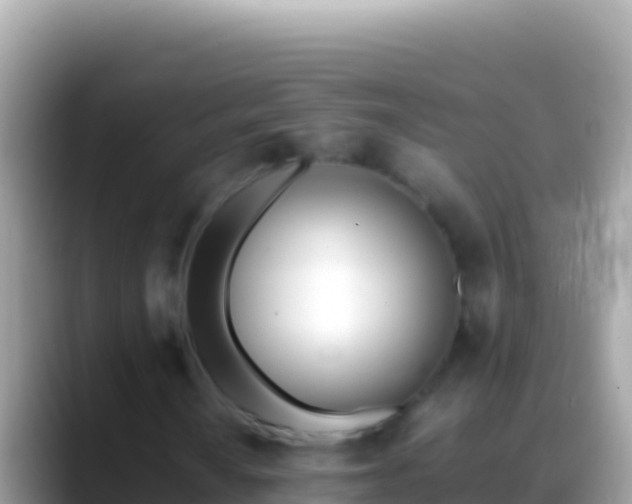 X0000088661010200706011236