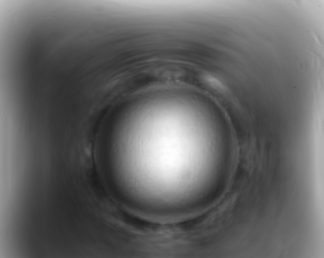 X0000088661013200706011236