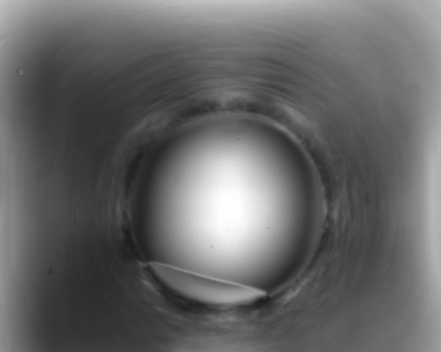 X0000088661014200706011236