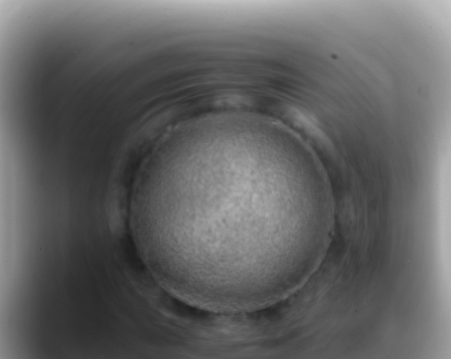 X0000088661015200706011236