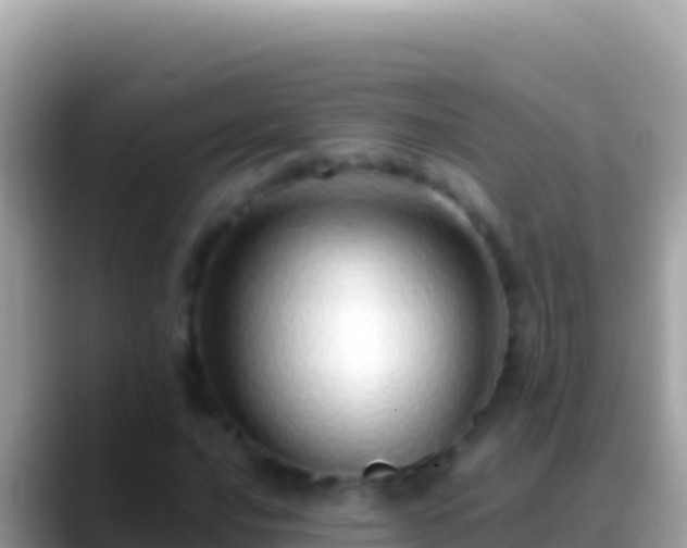 X0000088661016200706011236