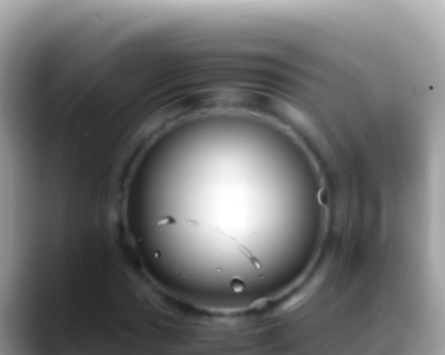 X0000088661017200706011236