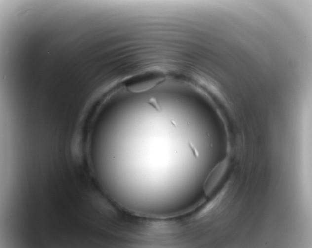 X0000088661018200706011236