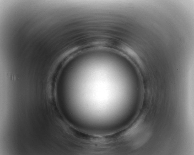 X0000088661019200706011236