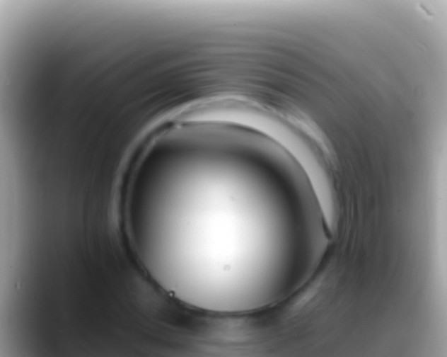 X0000088661020200706011236