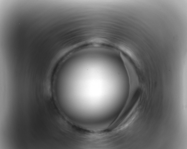 X0000088661022200706011236