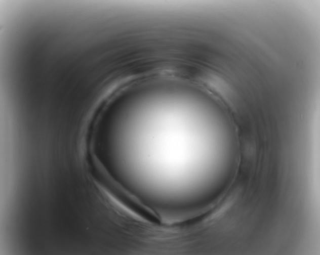 X0000088661023200706011236