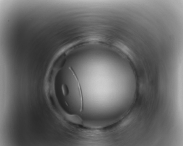 X0000088661024200706011236