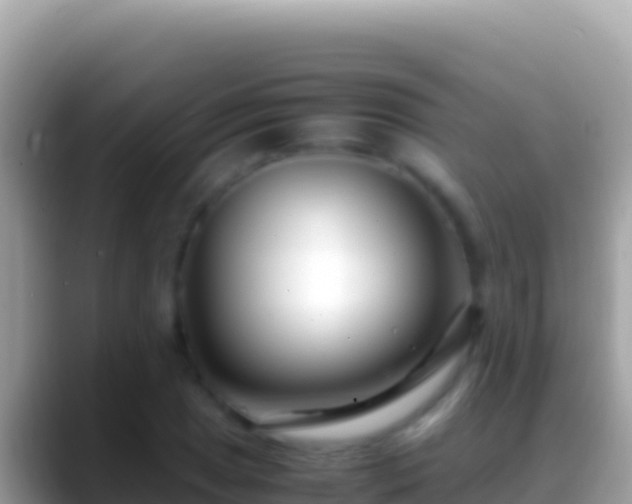 X0000088661025200706011236