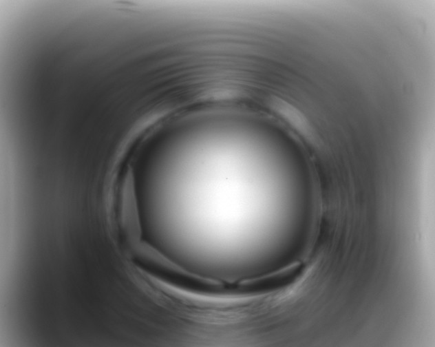 X0000088661026200706011236