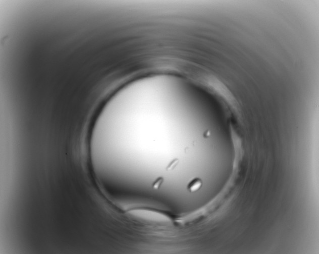 X0000088661028200706011236