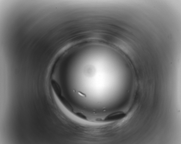 X0000088661029200706011236