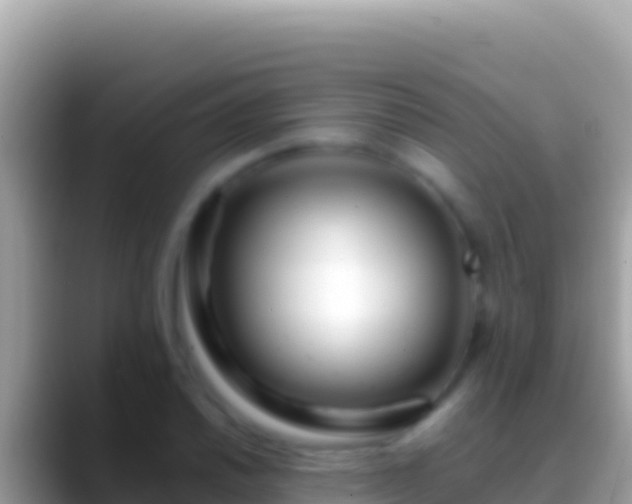 X0000088661030200706011236