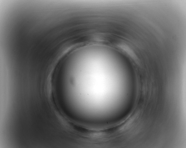 X0000088661031200706011236