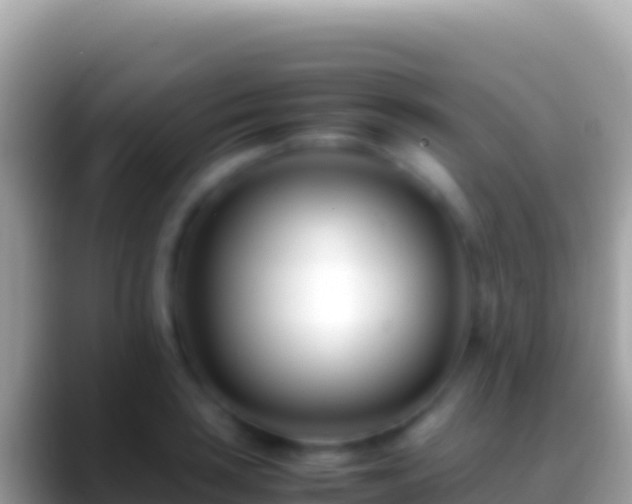 X0000088661035200706011236