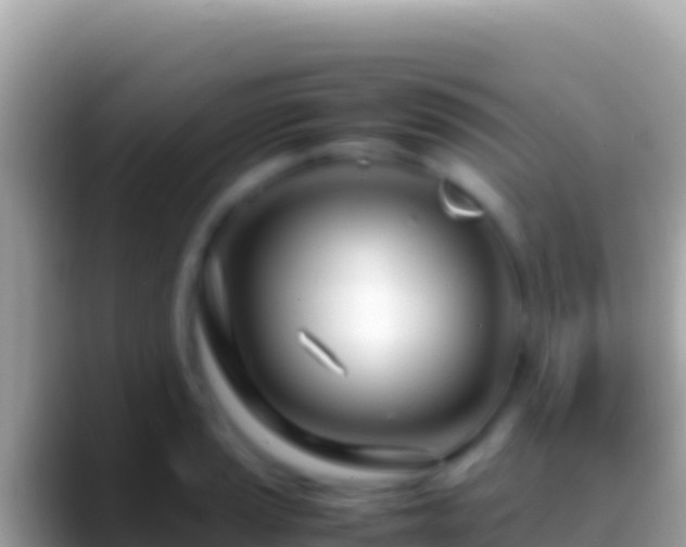 X0000088661037200706011236