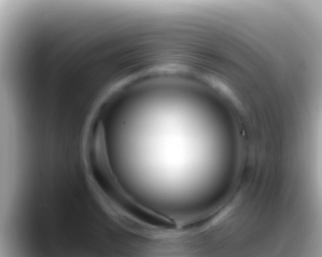 X0000088661038200706011236