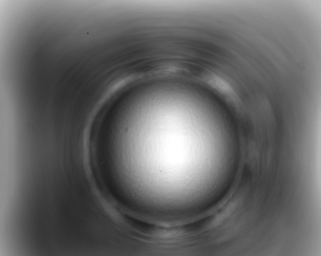 X0000088661039200706011236