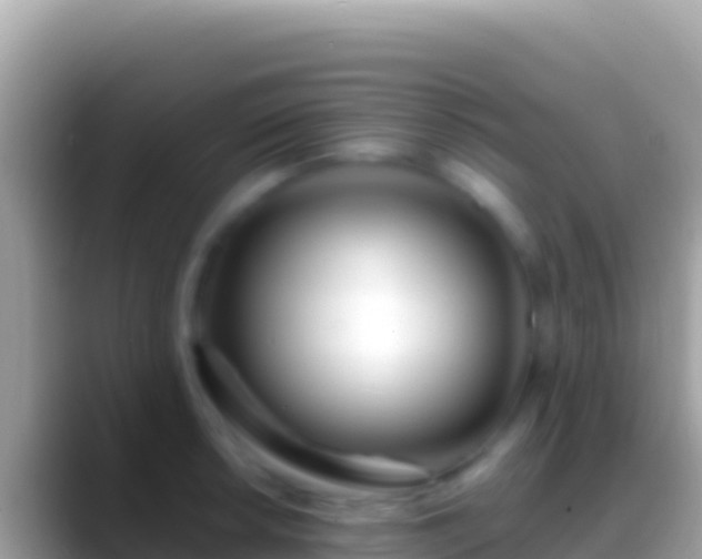 X0000088661042200706011236