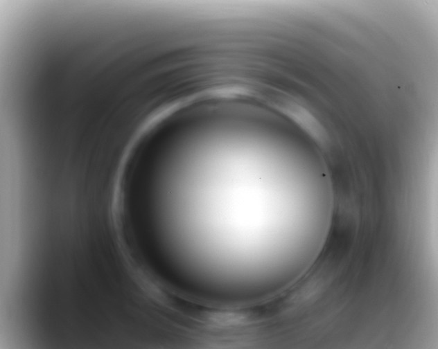 X0000088661044200706011236