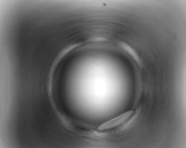 X0000088661050200706011236