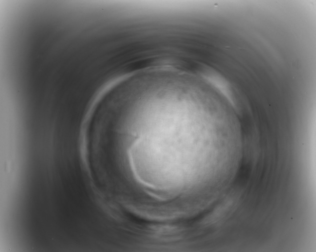 X0000088661051200706011236