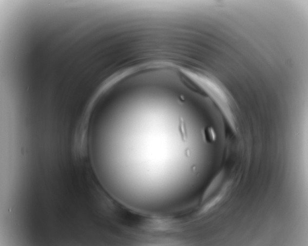 X0000088661052200706011236