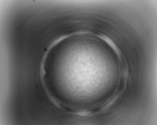 X0000088661053200706011236