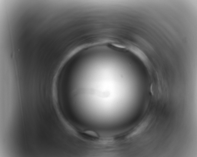 X0000088661055200706011236