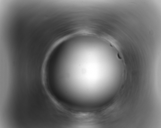 X0000088661056200706011236