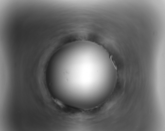 X0000088661057200706011236