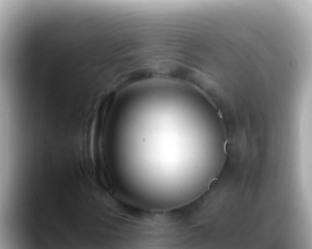 X0000088661058200706011235