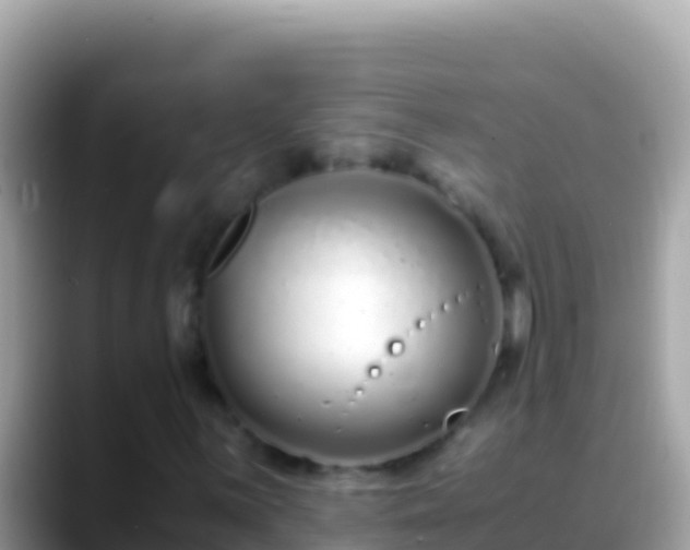 X0000088661059200706011235